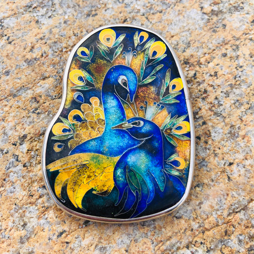Beautiful peacock 🦚 💫
