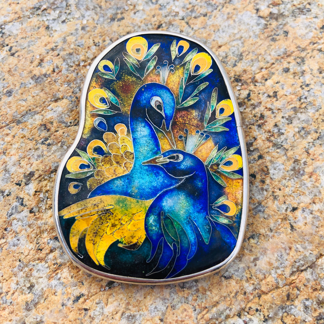 Beautiful peacock 🦚 💫